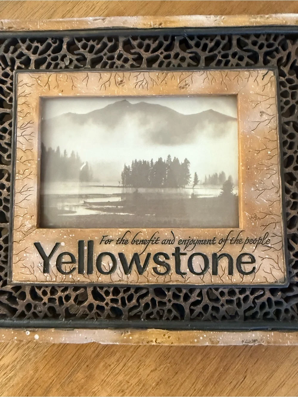 Yellowstone Decorative Picture Frame — Brown and Black Ornate Design